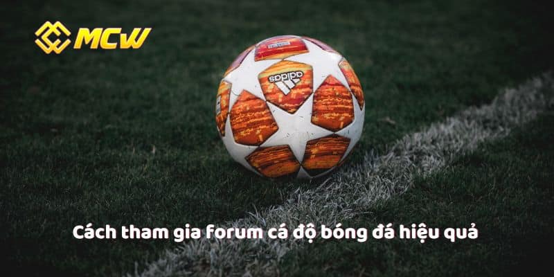 Cách tham gia forum cá độ bóng đá hiệu quả