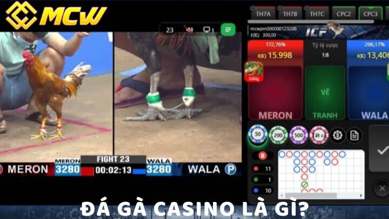 Đá gà casino là gì?