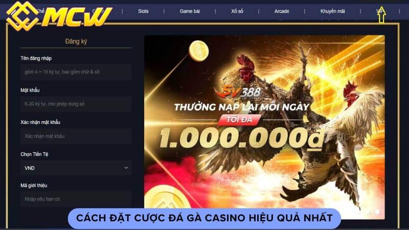 Cách đặt cược đá gà casino hiệu quả nhất