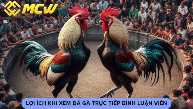 Lợi ích khi xem đá gà trực tiếp bình luận viên