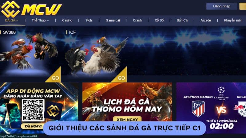 Giới thiệu các sảnh đá gà trực tiếp c1