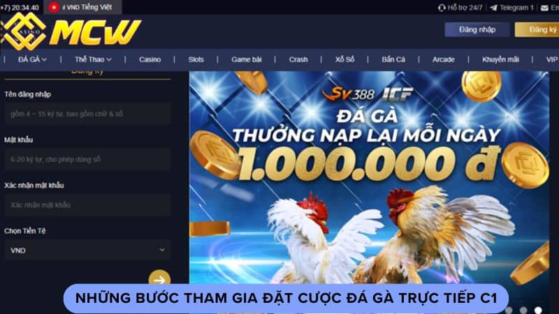 Những bước tham gia đặt cược đá gà trực tiếp c1