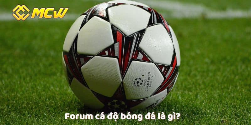 Forum cá độ bóng đá là gì?