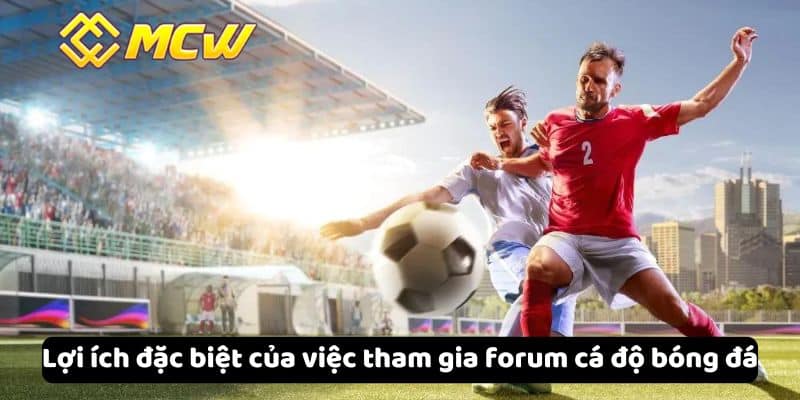 Lợi ích đặc biệt của việc tham gia forum cá độ bóng đá