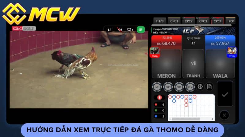 Hướng dẫn xem trực tiếp đá gà thomo dễ dàng