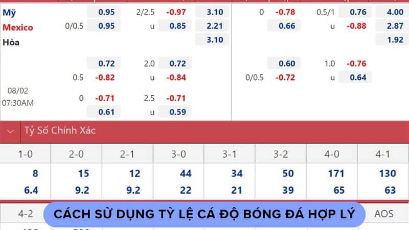 Cách sử dụng tỷ lệ cá độ bóng đá hợp lý